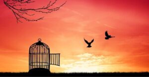 Home | Team Integrity Freedom is Priceless